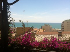 image (7)